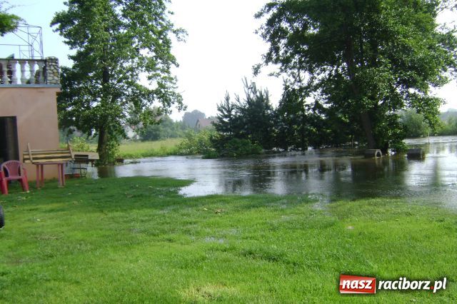 Zdjęcie w galerii na portalu naszraciborz.pl: POWÓDŹ w Nędzy - podtopione domostwa wiadomości z regionu