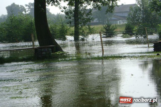 Zdjęcie w galerii na portalu naszraciborz.pl: POWÓDŹ w Nędzy - podtopione domostwa wiadomości z regionu