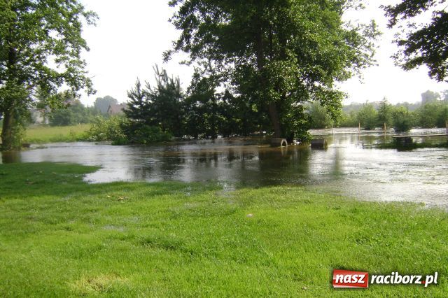 Zdjęcie w galerii na portalu naszraciborz.pl: POWÓDŹ w Nędzy - podtopione domostwa wiadomości z regionu