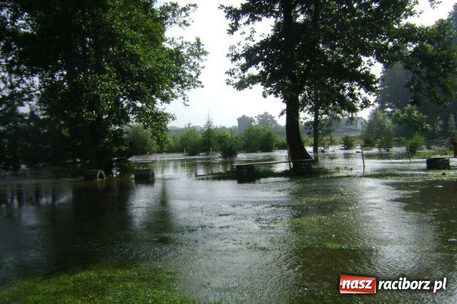 Zdjęcie w galerii na portalu naszraciborz.pl: POWÓDŹ w Nędzy - podtopione domostwa wiadomości z regionu