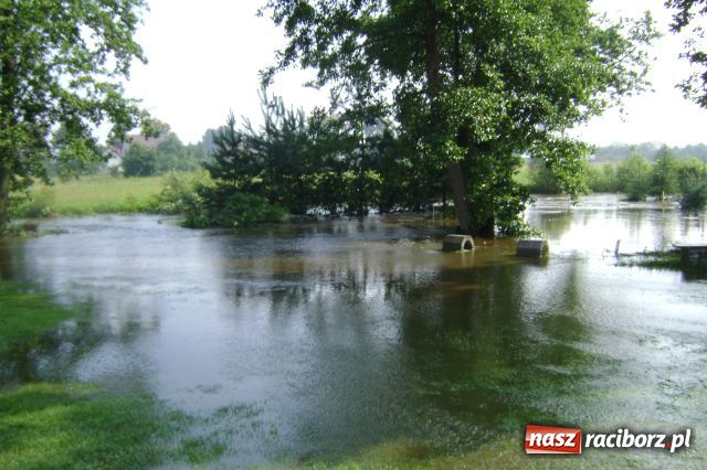 Zdjęcie w galerii na portalu naszraciborz.pl: POWÓDŹ w Nędzy - podtopione domostwa wiadomości z regionu