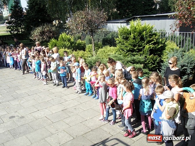 Zdjęcie w galerii na portalu naszraciborz.pl: Raciborzanie sprzątają swój mały świat! wiadomości z regionu