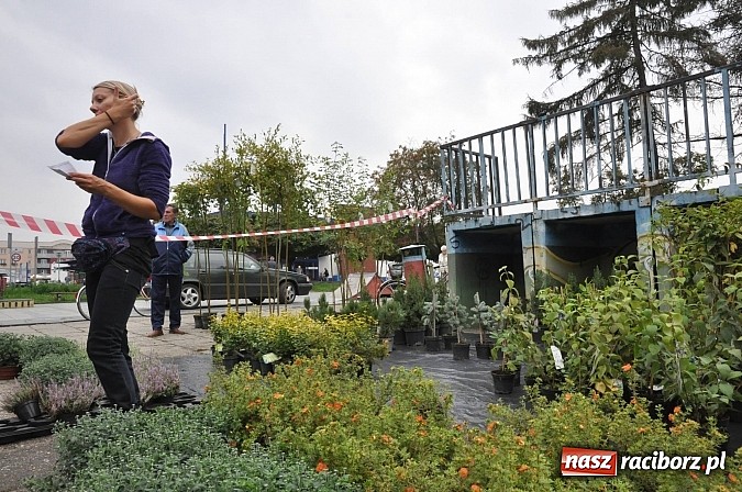 Zdjęcie w galerii na portalu naszraciborz.pl: Kolejne tony zużytego sprzętu elektrycznego! wiadomości z regionu