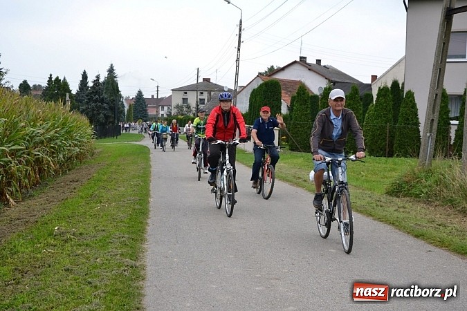 Zdjęcie w galerii na portalu naszraciborz.pl: Ponad dwustu cyklistów na otwarciu nowej ścieżki rowerowej - Hackiej Cesty wiadomości z regionu