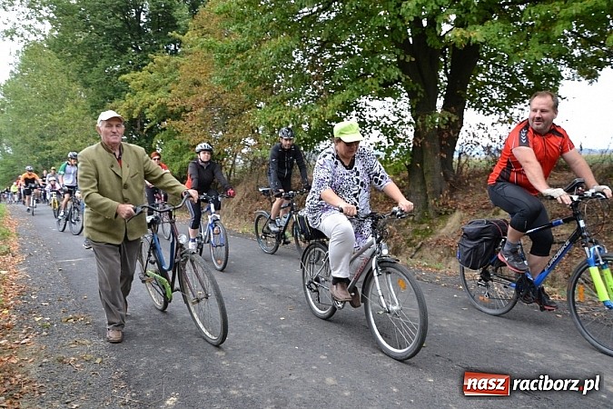 Zdjęcie w galerii na portalu naszraciborz.pl: Ponad dwustu cyklistów na otwarciu nowej ścieżki rowerowej - Hackiej Cesty wiadomości z regionu