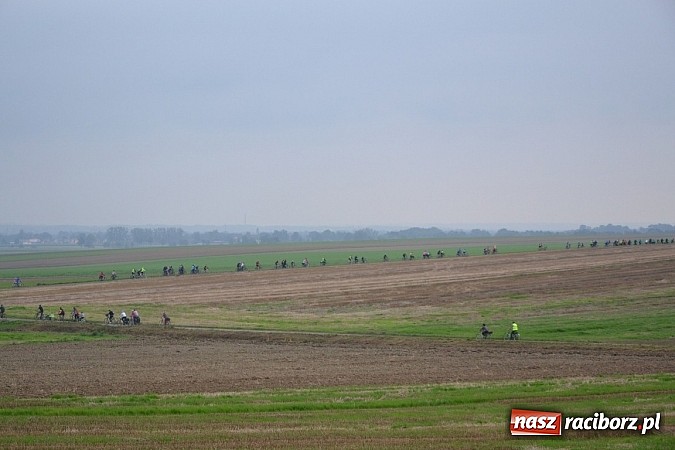 Zdjęcie w galerii na portalu naszraciborz.pl: Ponad dwustu cyklistów na otwarciu nowej ścieżki rowerowej - Hackiej Cesty wiadomości z regionu