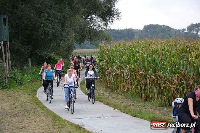 Zdjęcie w galerii na portalu naszraciborz.pl: Ponad dwustu cyklistów na otwarciu nowej ścieżki rowerowej - Hackiej Cesty wiadomości z regionu