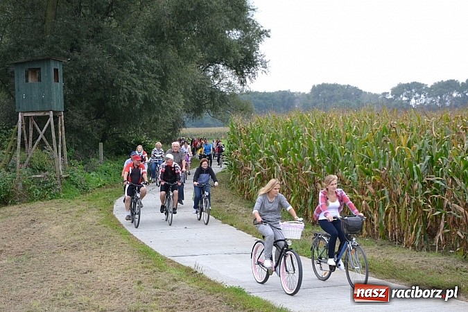Zdjęcie w galerii na portalu naszraciborz.pl: Ponad dwustu cyklistów na otwarciu nowej ścieżki rowerowej - Hackiej Cesty wiadomości z regionu