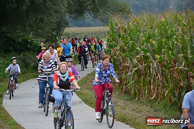 Zdjęcie w galerii na portalu naszraciborz.pl: Ponad dwustu cyklistów na otwarciu nowej ścieżki rowerowej - Hackiej Cesty wiadomości z regionu