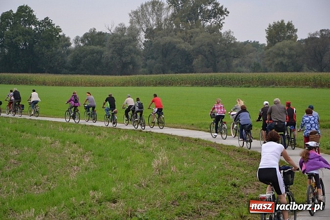 Zdjęcie w galerii na portalu naszraciborz.pl: Ponad dwustu cyklistów na otwarciu nowej ścieżki rowerowej - Hackiej Cesty wiadomości z regionu