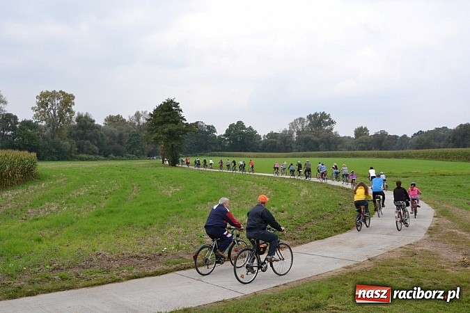 Zdjęcie w galerii na portalu naszraciborz.pl: Ponad dwustu cyklistów na otwarciu nowej ścieżki rowerowej - Hackiej Cesty wiadomości z regionu