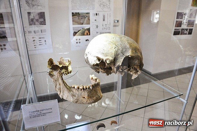 Zdjęcie w galerii na portalu naszraciborz.pl: Pietrowice Wielkie i Kornice znajdą się w podręcznikach archeologii wiadomości z regionu