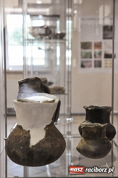 Zdjęcie w galerii na portalu naszraciborz.pl: Pietrowice Wielkie i Kornice znajdą się w podręcznikach archeologii wiadomości z regionu