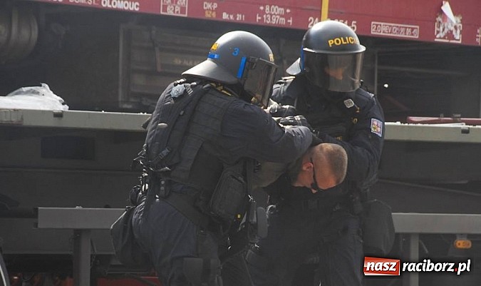 Zdjęcie w galerii na portalu naszraciborz.pl: Tysiące widzów na Dniach NATO w Ostrawie wiadomości z regionu