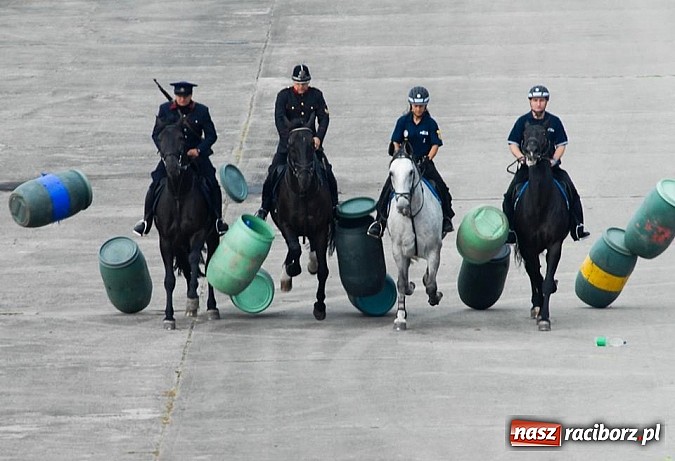 Zdjęcie w galerii na portalu naszraciborz.pl: Tysiące widzów na Dniach NATO w Ostrawie wiadomości z regionu