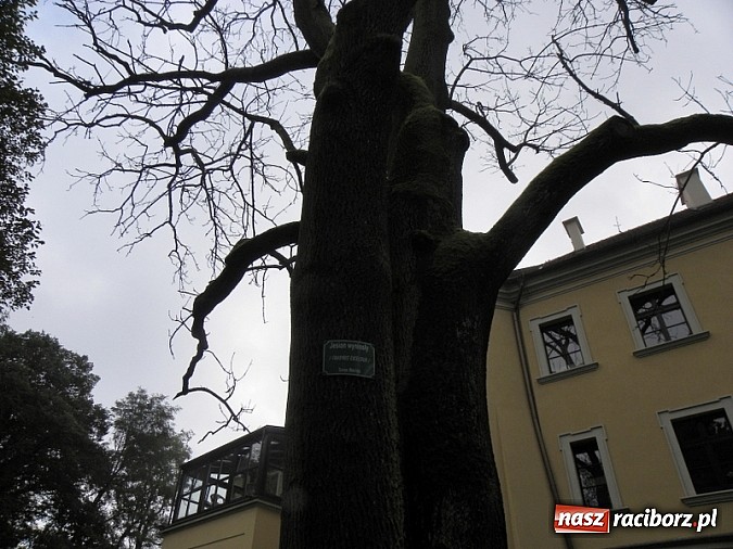 Zdjęcie w galerii na portalu naszraciborz.pl:  Europejskie Dni Dziedzictwa w Rudach wiadomości z regionu