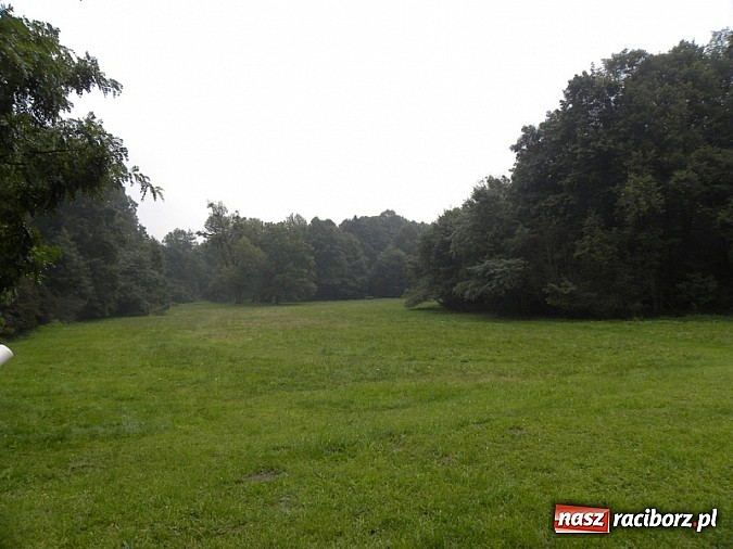 Zdjęcie w galerii na portalu naszraciborz.pl:  Europejskie Dni Dziedzictwa w Rudach wiadomości z regionu