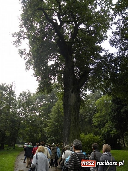 Zdjęcie w galerii na portalu naszraciborz.pl:  Europejskie Dni Dziedzictwa w Rudach wiadomości z regionu