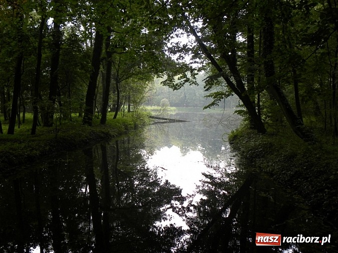 Zdjęcie w galerii na portalu naszraciborz.pl:  Europejskie Dni Dziedzictwa w Rudach wiadomości z regionu