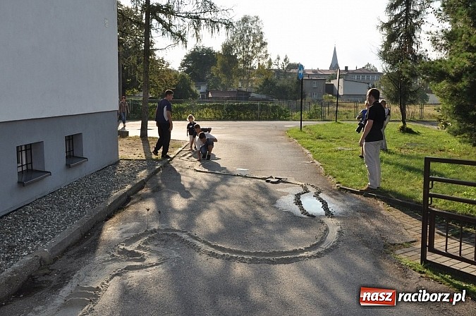 Zdjęcie w galerii na portalu naszraciborz.pl: Znamy nowych mistrz&oacute;w świata w grze w... kapsle wiadomości z regionu