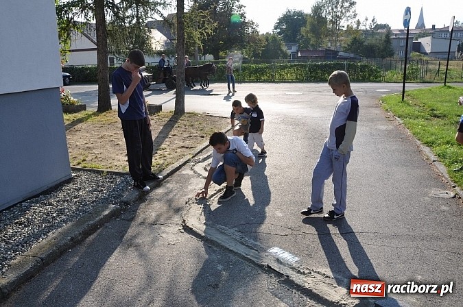 Zdjęcie w galerii na portalu naszraciborz.pl: Znamy nowych mistrz&oacute;w świata w grze w... kapsle wiadomości z regionu