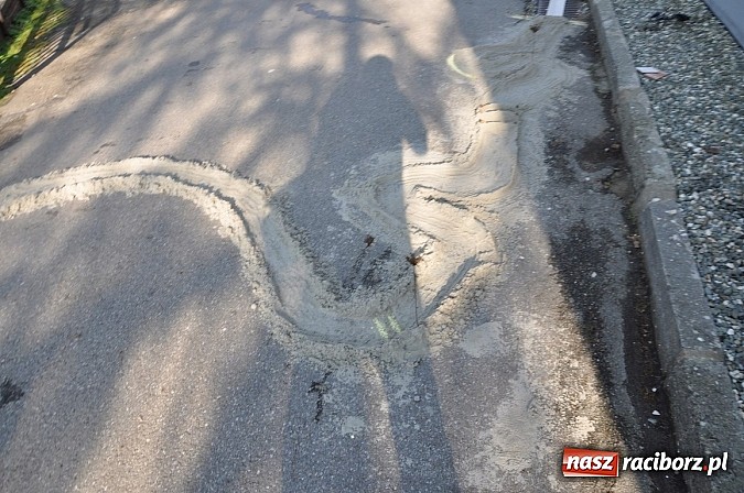 Zdjęcie w galerii na portalu naszraciborz.pl: Znamy nowych mistrz&oacute;w świata w grze w... kapsle wiadomości z regionu