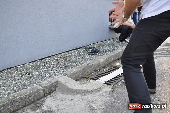Zdjęcie w galerii na portalu naszraciborz.pl: Znamy nowych mistrz&oacute;w świata w grze w... kapsle wiadomości z regionu