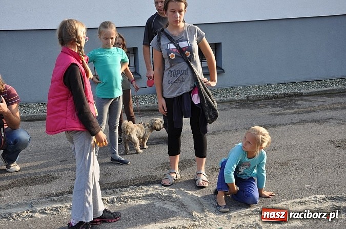 Zdjęcie w galerii na portalu naszraciborz.pl: Znamy nowych mistrz&oacute;w świata w grze w... kapsle wiadomości z regionu