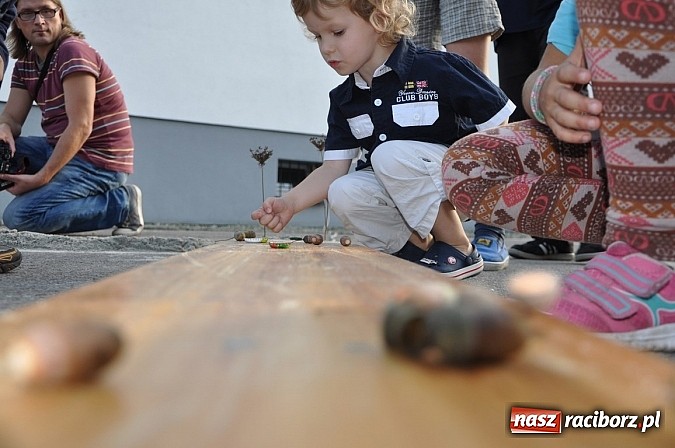 Zdjęcie w galerii na portalu naszraciborz.pl: Znamy nowych mistrz&oacute;w świata w grze w... kapsle wiadomości z regionu