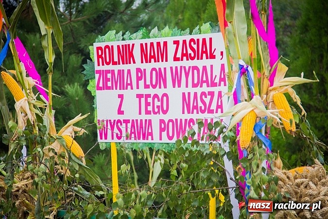 Zdjęcie w galerii na portalu naszraciborz.pl: Święto plonów w Grzegorzowicach wiadomości z regionu