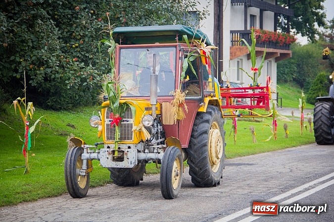 Zdjęcie w galerii na portalu naszraciborz.pl: Święto plonów w Grzegorzowicach wiadomości z regionu
