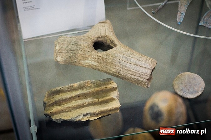 Zdjęcie w galerii na portalu naszraciborz.pl: Piknik archeologiczny w Pietrowicach Wielkich wiadomości z regionu