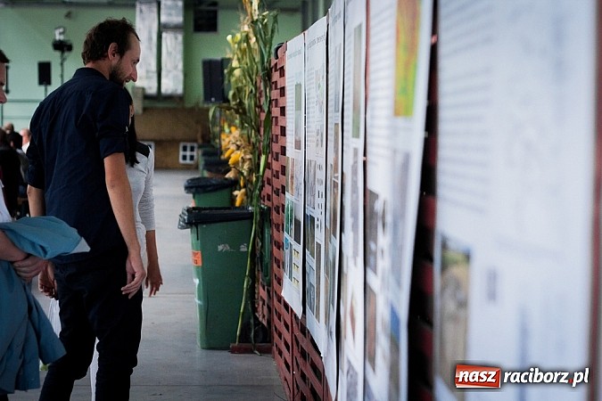 Zdjęcie w galerii na portalu naszraciborz.pl: Piknik archeologiczny w Pietrowicach Wielkich wiadomości z regionu