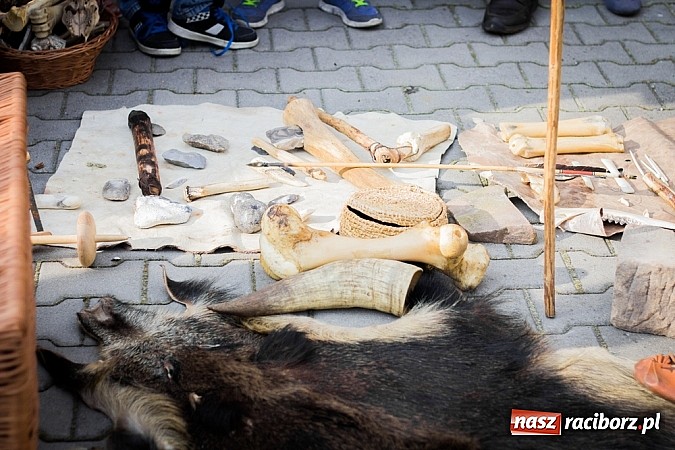 Zdjęcie w galerii na portalu naszraciborz.pl: Piknik archeologiczny w Pietrowicach Wielkich wiadomości z regionu