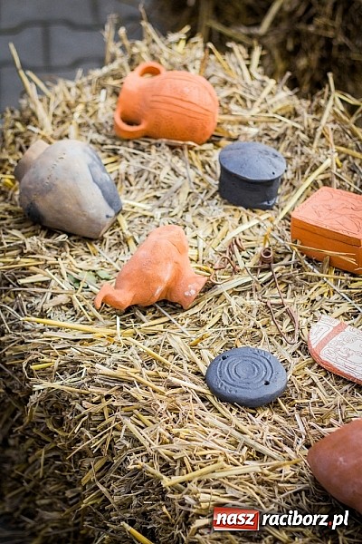 Zdjęcie w galerii na portalu naszraciborz.pl: Piknik archeologiczny w Pietrowicach Wielkich wiadomości z regionu