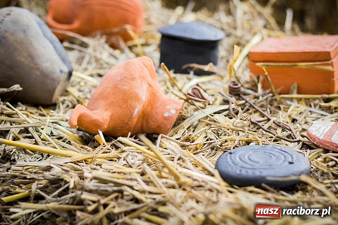 Zdjęcie w galerii na portalu naszraciborz.pl: Piknik archeologiczny w Pietrowicach Wielkich wiadomości z regionu