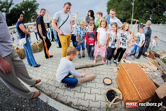 Zdjęcie w galerii na portalu naszraciborz.pl: Piknik archeologiczny w Pietrowicach Wielkich wiadomości z regionu