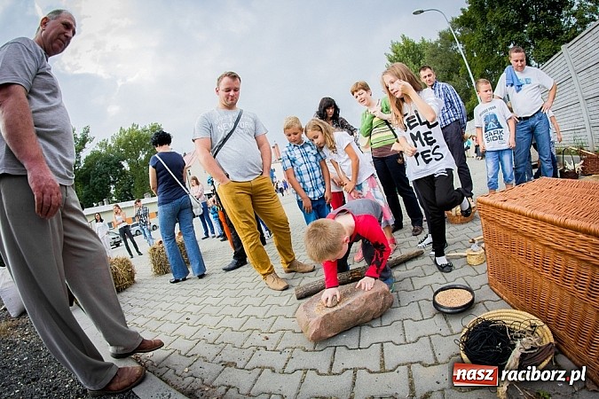 Zdjęcie w galerii na portalu naszraciborz.pl: Piknik archeologiczny w Pietrowicach Wielkich wiadomości z regionu