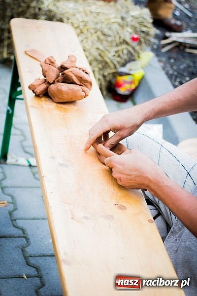 Zdjęcie w galerii na portalu naszraciborz.pl: Piknik archeologiczny w Pietrowicach Wielkich wiadomości z regionu