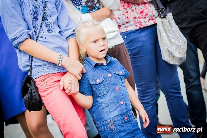 Zdjęcie w galerii na portalu naszraciborz.pl: Piknik archeologiczny w Pietrowicach Wielkich wiadomości z regionu