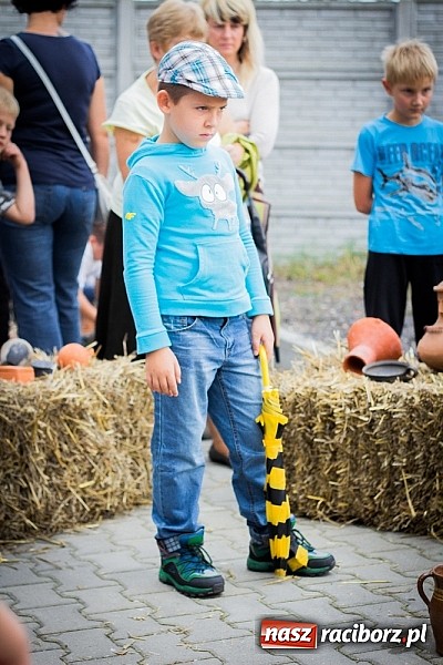 Zdjęcie w galerii na portalu naszraciborz.pl: Piknik archeologiczny w Pietrowicach Wielkich wiadomości z regionu