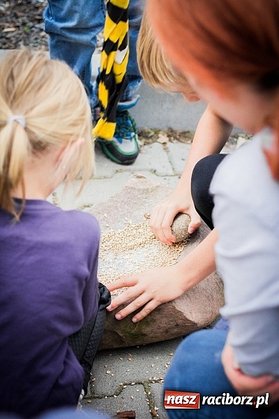 Zdjęcie w galerii na portalu naszraciborz.pl: Piknik archeologiczny w Pietrowicach Wielkich wiadomości z regionu