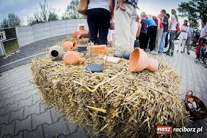 Zdjęcie w galerii na portalu naszraciborz.pl: Piknik archeologiczny w Pietrowicach Wielkich wiadomości z regionu