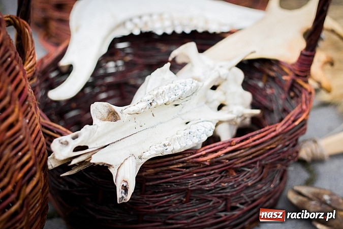 Zdjęcie w galerii na portalu naszraciborz.pl: Piknik archeologiczny w Pietrowicach Wielkich wiadomości z regionu