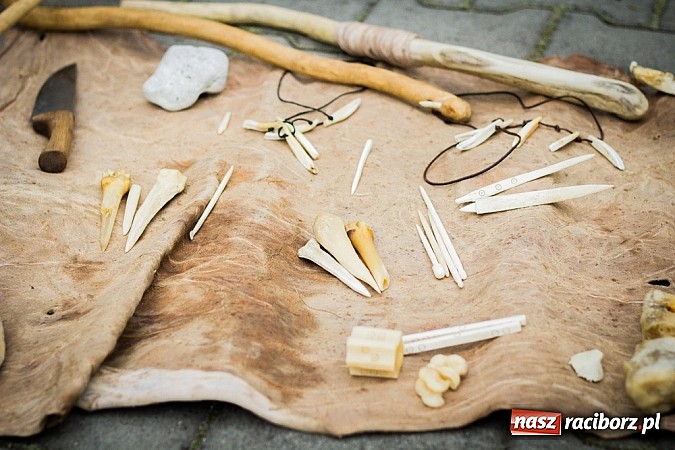 Zdjęcie w galerii na portalu naszraciborz.pl: Piknik archeologiczny w Pietrowicach Wielkich wiadomości z regionu