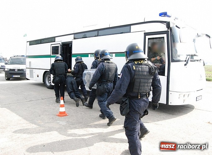 Zdjęcie w galerii na portalu naszraciborz.pl: Pogranicznicy z Raciborza na XIV Dniach NATO w Ostrawie wiadomości z regionu