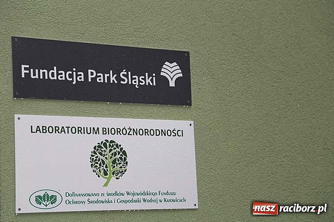 Zdjęcie w galerii na portalu naszraciborz.pl: Laboratorium Bioróżnorodności Fundacji Park Śląski wiadomości z regionu