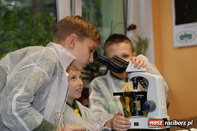 Zdjęcie w galerii na portalu naszraciborz.pl: Laboratorium Bioróżnorodności Fundacji Park Śląski wiadomości z regionu