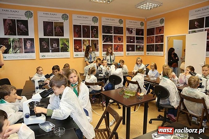 Zdjęcie w galerii na portalu naszraciborz.pl: Laboratorium Bioróżnorodności Fundacji Park Śląski wiadomości z regionu