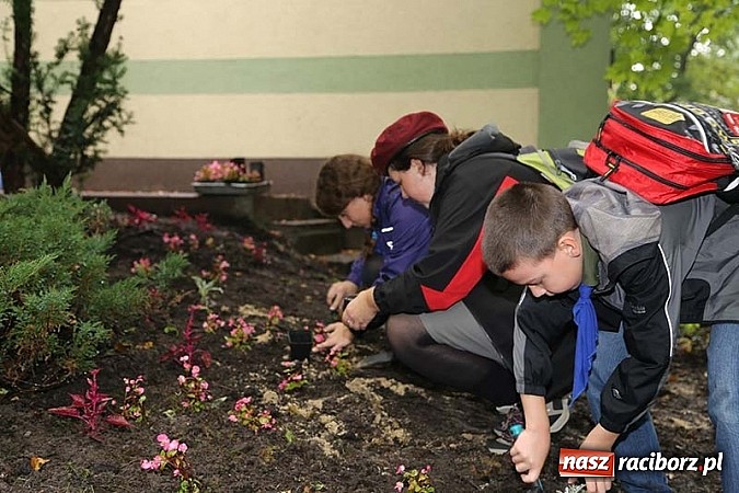 Zdjęcie w galerii na portalu naszraciborz.pl: Laboratorium Bioróżnorodności Fundacji Park Śląski wiadomości z regionu